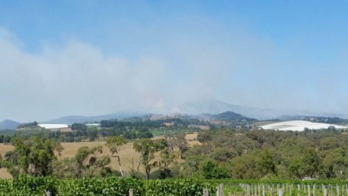 Mt Canobolas, Orange NSW, on fire; above Swinging Bridge vineyard
