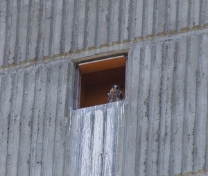 The first small step; on to the main ledge