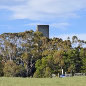 Water tower from near roost tree